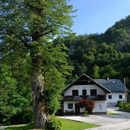 Apartma Pri Lipi Bohinj Exterior photo
