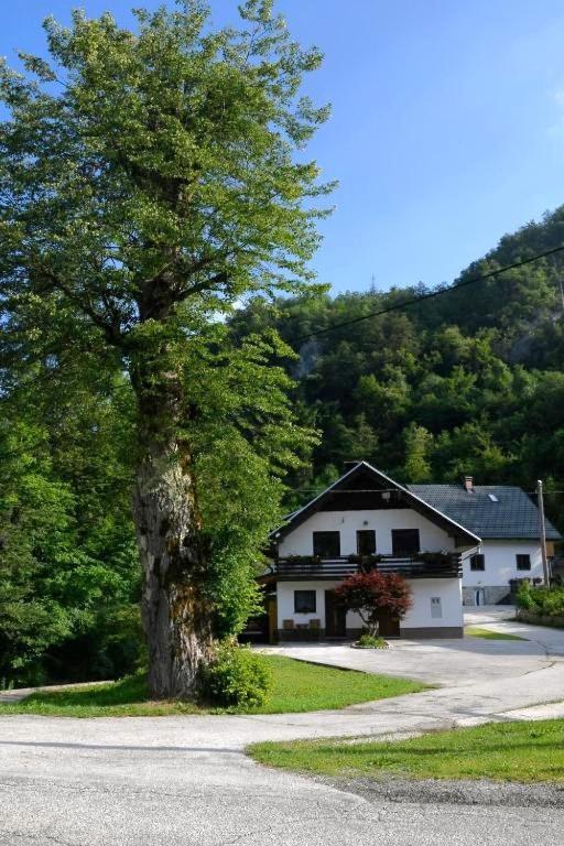 Apartma Pri Lipi Apartment Bohinj