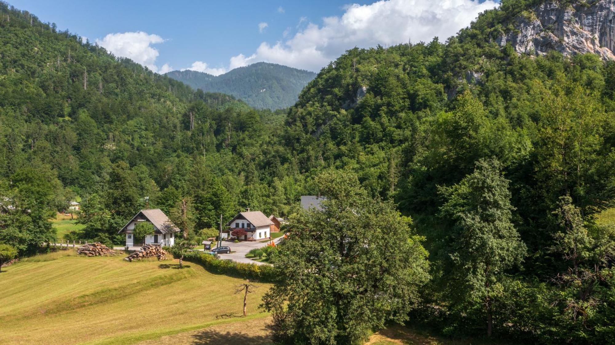 Apartment Apartma Pri Lipi Bohinj